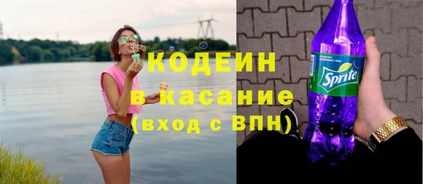шишки Арсеньев