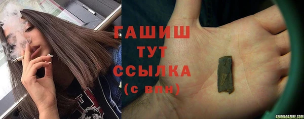 шишки Арсеньев
