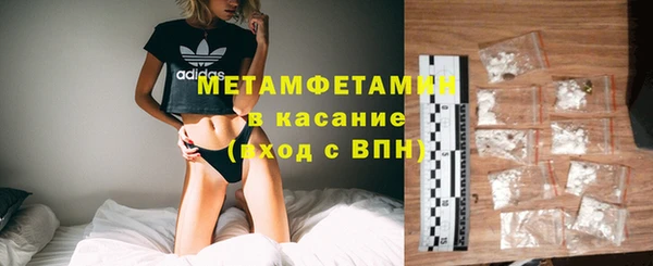 шишки Арсеньев