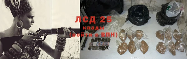 шишки Арсеньев