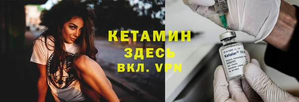 шишки Арсеньев