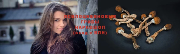 прущий лед Армянск
