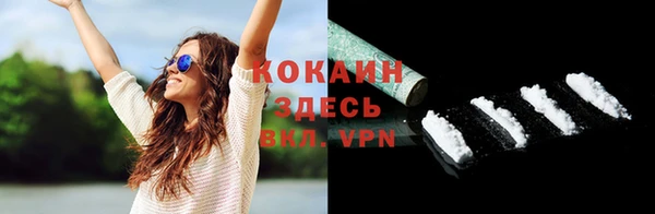 шишки Арсеньев
