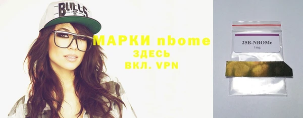 шишки Арсеньев