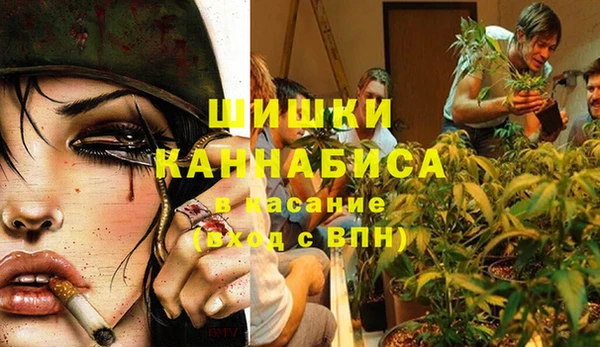 гидра Аркадак