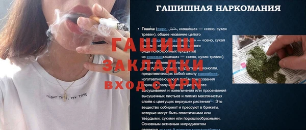 шишки Арсеньев