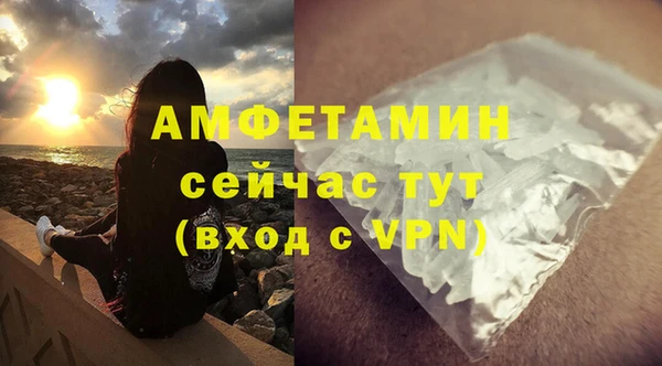 гидра Аркадак