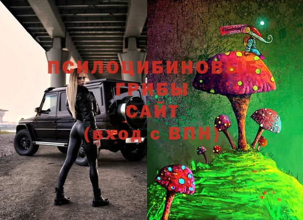 шишки Арсеньев