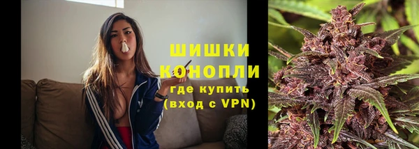 гидра Аркадак