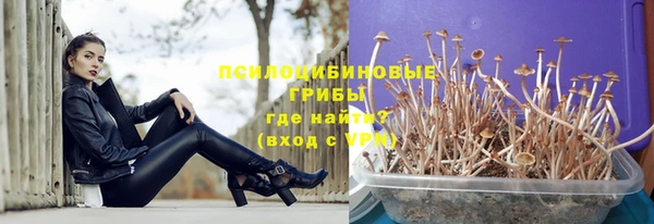 прущий лед Армянск